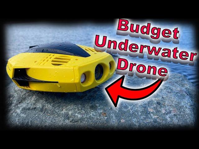 Pros and Cons of a Budget Submarine - Chasing Dory - Budget ROV