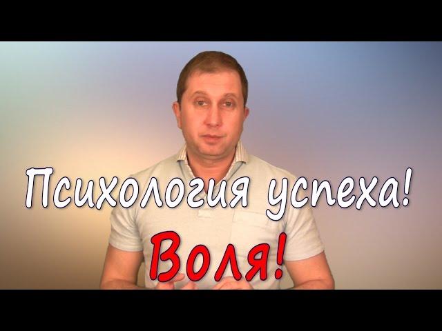 Правила успешного человека. Тема 1. Воля.