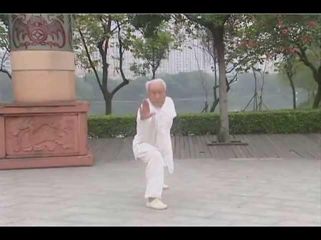 Cheng Style Baguazhang - 64 Palms [程氏八卦掌 - 六十四掌]