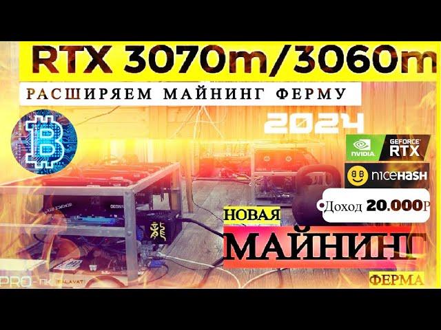 СОБРАЛ МАЙНИНГ ФЕРМУ | RTX 3070m и RTX 3060m Laptop GPU ( Майнинг Ферма NICEHASH 2024г )