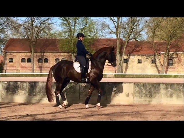 DANKESCHÖN im Training mit Henrike Sommer