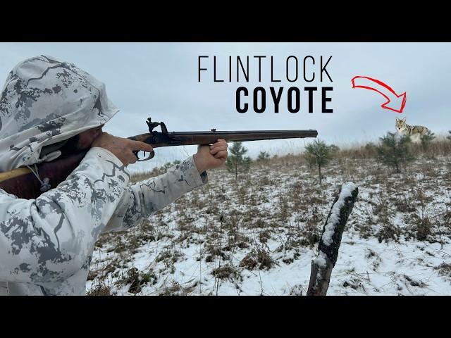 You've NEVER Seen THIS Before! Coyote Hunting with a FLINTLOCK