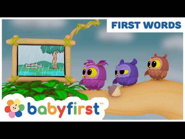 Hoot, Scoot & What | Learn Vocabulary for Kids | Larry Surprise Eggs | First Words | BabyFirst TV