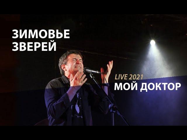 Зимовье Зверей | Мой доктор (Константин Арбенин / Кирилл Комаров) | Live 2021