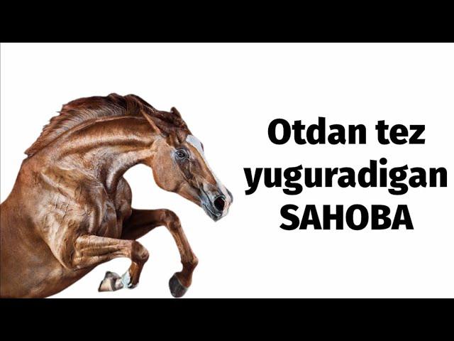 Salama ibn Akwa - Otlardan  ham tez yuguradigan Sahoba. Abdulloh domla.