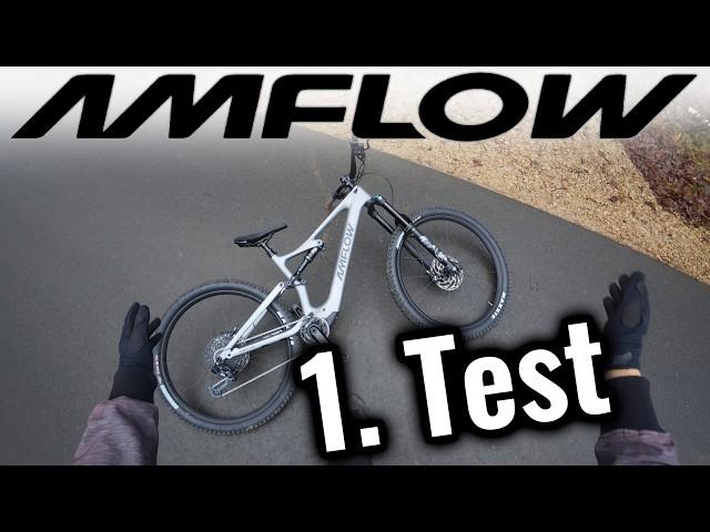 Ehrliche Testfahrt mit DJI Amflow Bike