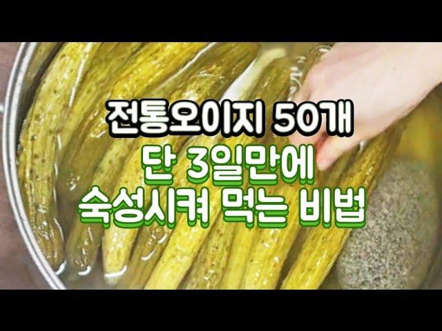 전통오이지 단 3일만에 급속숙성시켜 먹는 비법, 나만 모르면 손해!