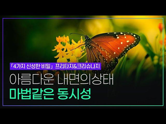 프리타지&크리슈나지 4가지 신성한 비밀_아름다운 내면의 상태가 불러오는 마법같은 동시성