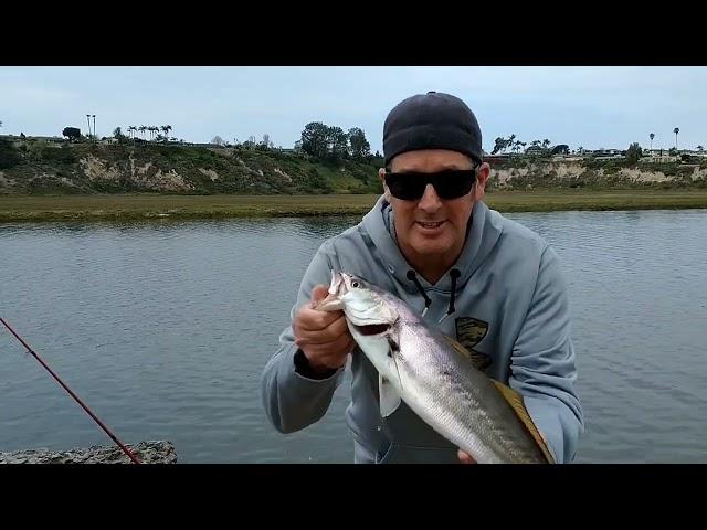 Newport Harbor Back Bay.. Surprise catch!