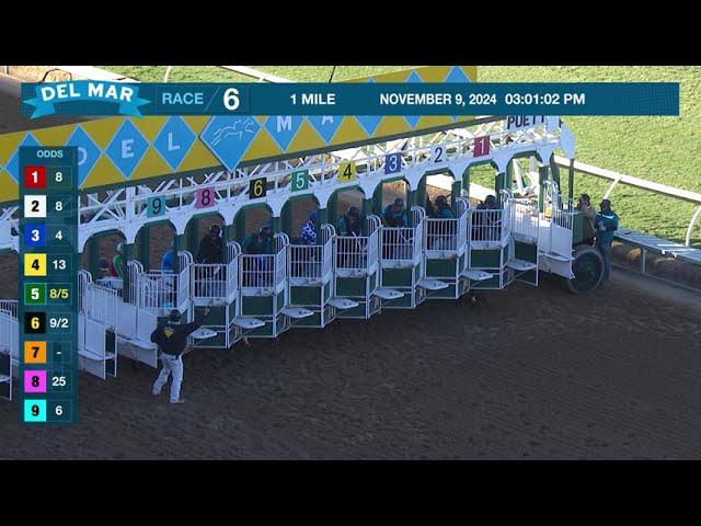 Big Drinker wins race 6 at Del Mar 11/9/24