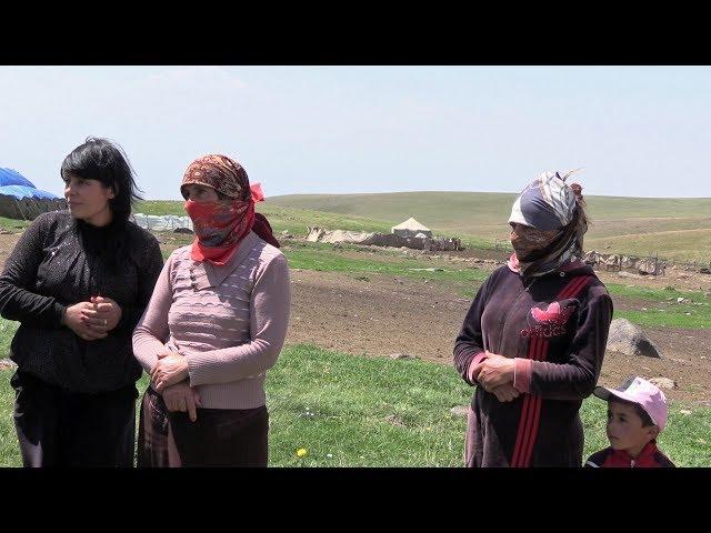 Ezids on the mountain pasture in Armenia