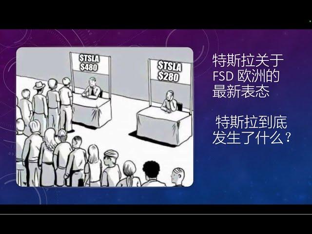 马斯克关于特斯拉FSD 登录欧洲的最新表态。。。特斯拉2025年到底发生了什么？！