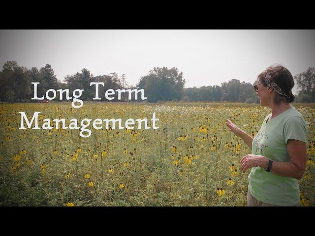 Long Term Management for Wildflower Meadows || Michigan Wildflower Farm