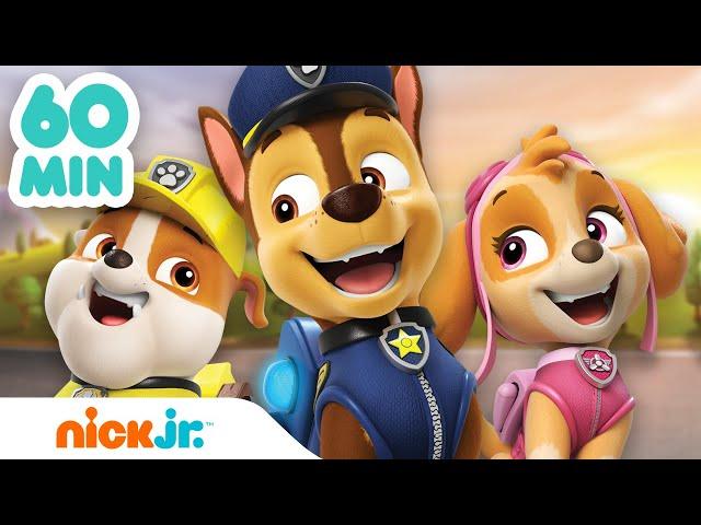 PAW Patrol | ¡Lo mejor de la Patrulla de Cachorros durante 1 hora! | Nick Jr. en Español