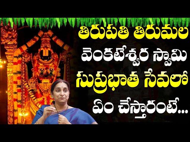 Tirumala Tirupati Venkateswara Swami Suprabatha Seva Explained || Ramaa Raavi || SumanTV Life