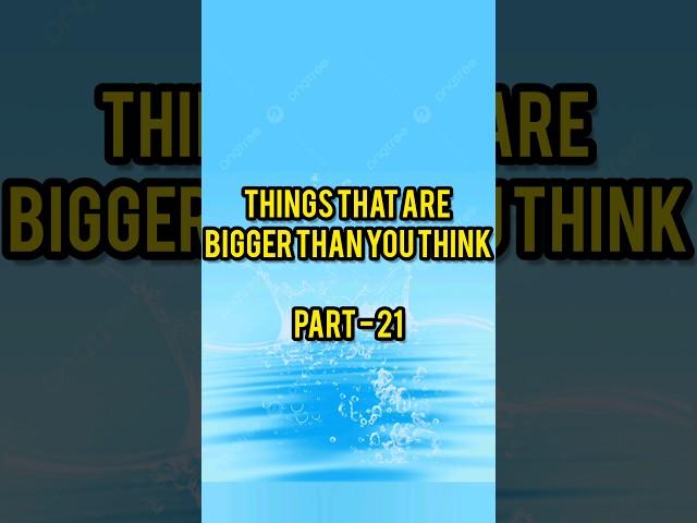 Things That Are Bigger Than You Think  #viralshort #justvideo