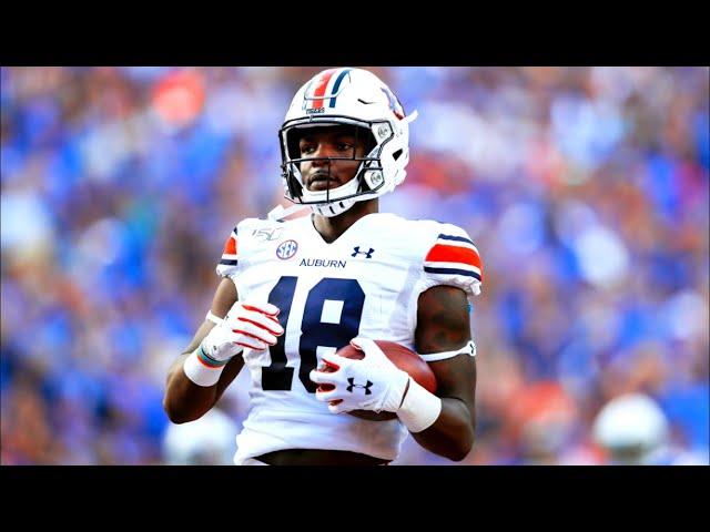 Most UNDERRATED WR in the SEC || Auburn WR Seth Williams Highlights ᴴᴰ