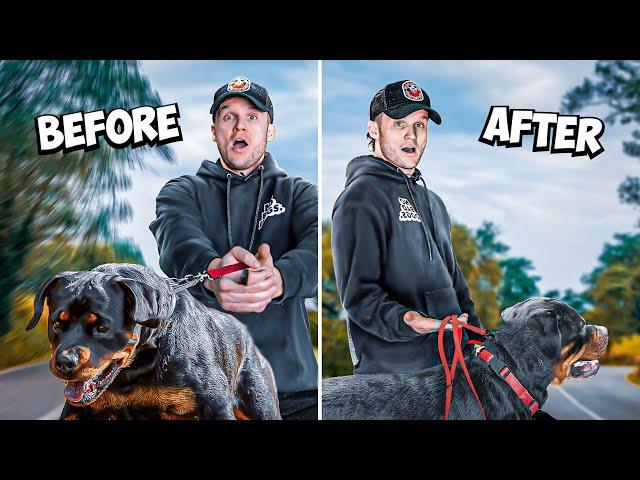 How to STOP Leash PULLING in 8 Minutes- REAL RESULTS!