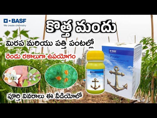 New BASF pirate insecticide and acaricide | పైరేట్ పురుగు మందు