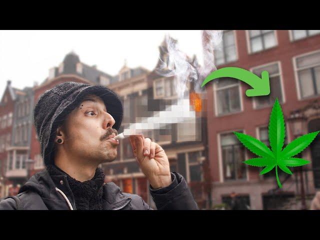 Como é o TURISMO CANÁBICO em Amsterdam