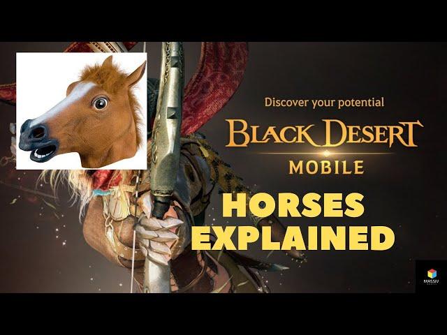 Black Desert Mobile - WILD HORSES EXPLAINED!