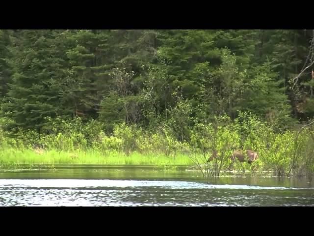 Mudro Lake to Wheelbarrow Falls