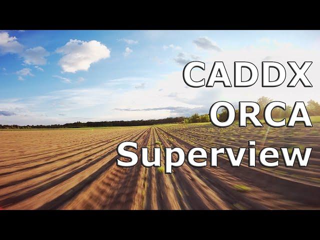 CADDX ORCA | FPV Freestyle | Chill out |