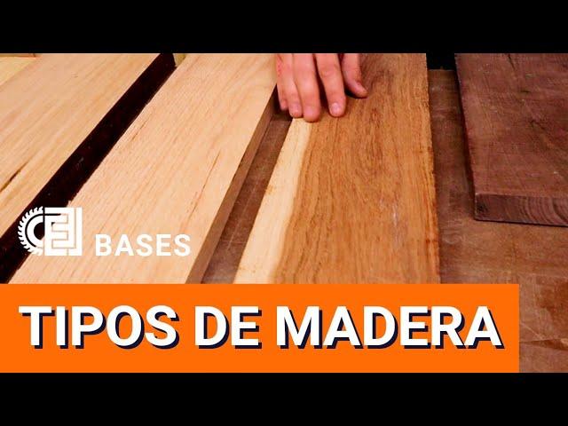 Tipos de madera. Qué madera usar? Qué diferencia hay entre pino y encino? - BASES de la Carpinteria