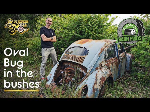 30yrs in a field! Classic Volkswagen Oval Beetle  Barn Find rescue mission