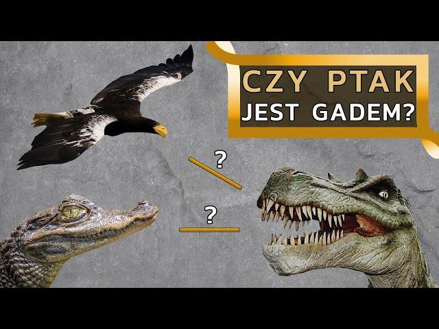 Czy ptak jest GADEM skoro jest dinozaurem?