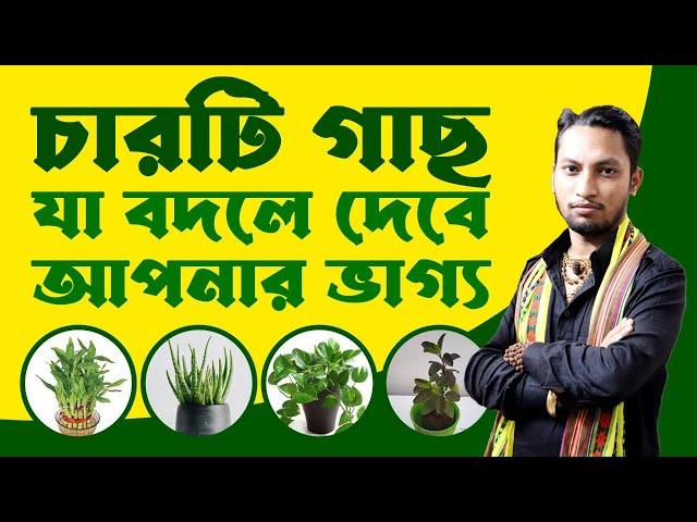 চারটি গুরুত্বপূর্ণ গাছ যা নিজের বাড়িতে রাখবেন | Dr. Kaushik Acharya | The youngest Tantric