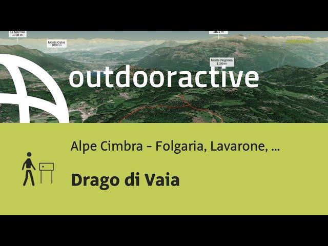 Sentiero tematico in Altopiano di Folgaria, Lavarone, Luserna: Drago di Vaia