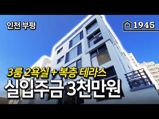 나만의 옥상 나만의 테라스~ 복층형 단독 테라스세대~