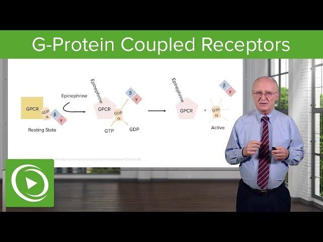 G-Protein Coupled Receptors (GPCRs) – Biochemistry | Lecturio