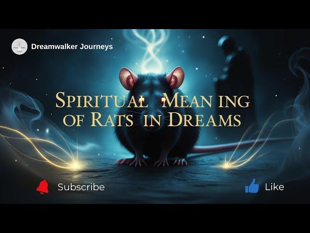 Spiritual Meaning of Rats in Dreams: Hidden Warnings & Symbolism Explained
