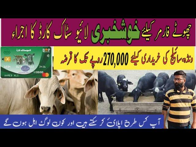 How to get Livestock card in Punjab | Livestock card kese hasil karain #kashifkonain