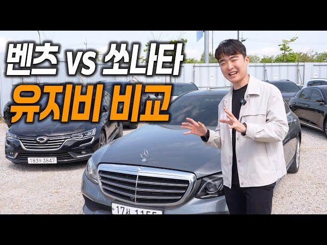 수입차와 국산차는 유지비가 얼마나 차이 날까?