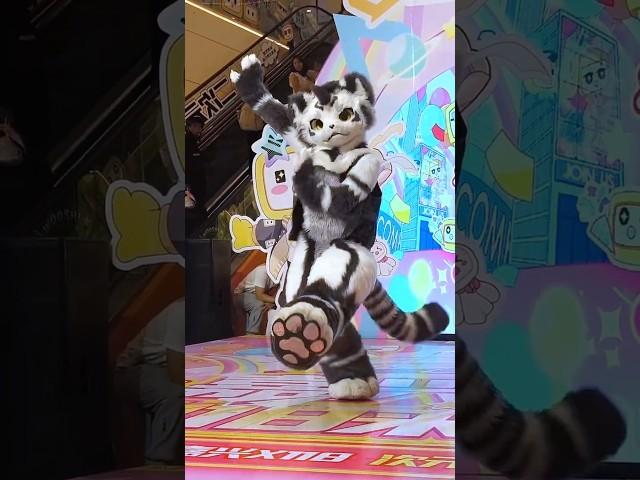 【Fursuit Dance】银碳Gintan - Hearts2Hearts 'The Chase'
