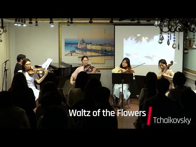 Tchaikovsky Waltz of the Flowers 꽃의왈츠  / 에클레또 / String Orchestra / 스트링콰르텟