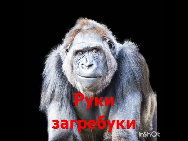 Подпишись у нас длинные руки!