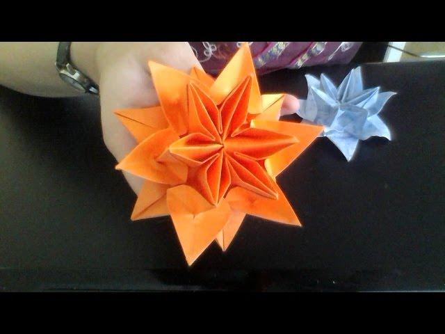 Origami Lotus Water Lily flower instructions