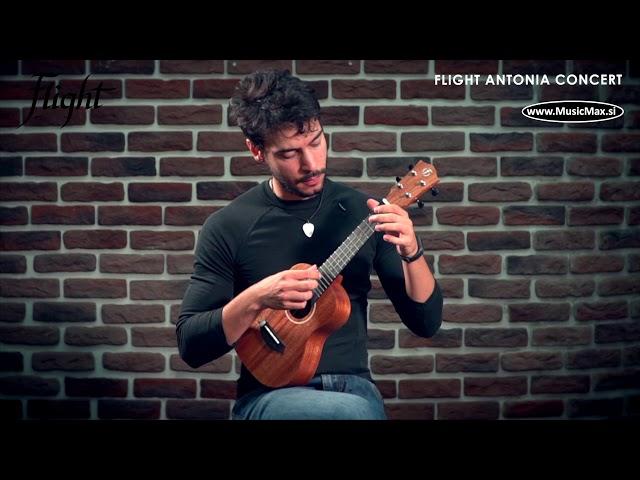 Flight Antonia Concerto ukulele