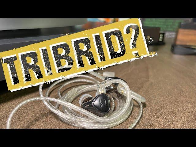 KZ x Crinacle CRN / ZEX PRO | IEM Review