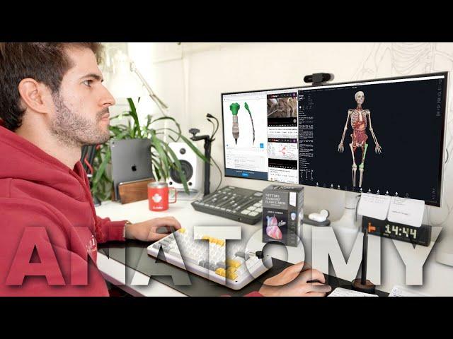 How to Study Anatomy Effectively (anatomy study tips)