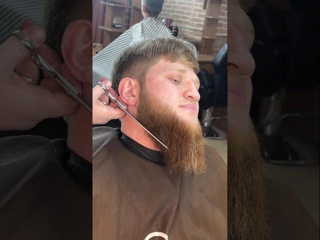 Long beard cut #beard #barber #shortsfeed