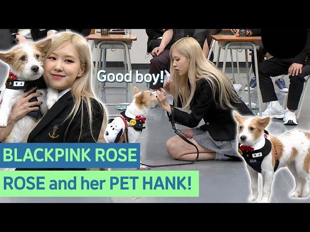 ROSE adopted ABANDONED DOG, Hank! Now, Hank has 1.2 million followers! Amazing! #Blackpink