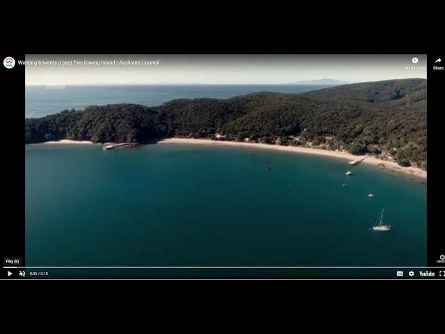 Working towards a pest free Kawau Island | Auckland Council