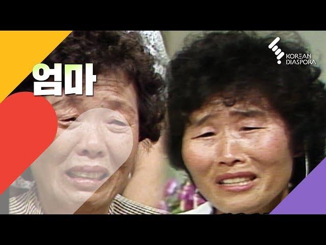 [이산가족 Eng c.c] 세상에서 가장 슬픈 "엄마!" (오리지널 버전) Mother (Original Version)