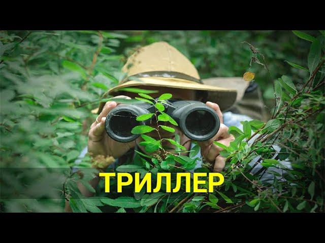 ПРЕСЛЕДОВАТЕЛЬ (триллер) | ЛУЧШИЕ ФИЛЬМЫ