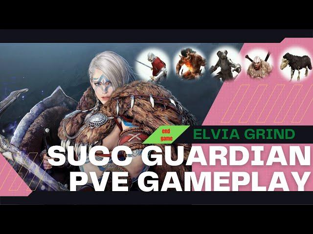 BDO| Guardian Succession PVE gameplay in Elvia Server | Black Desert Online